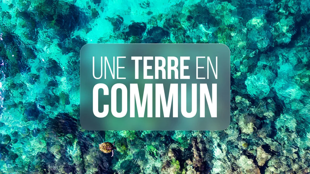 Il est encore temps de passer au vert